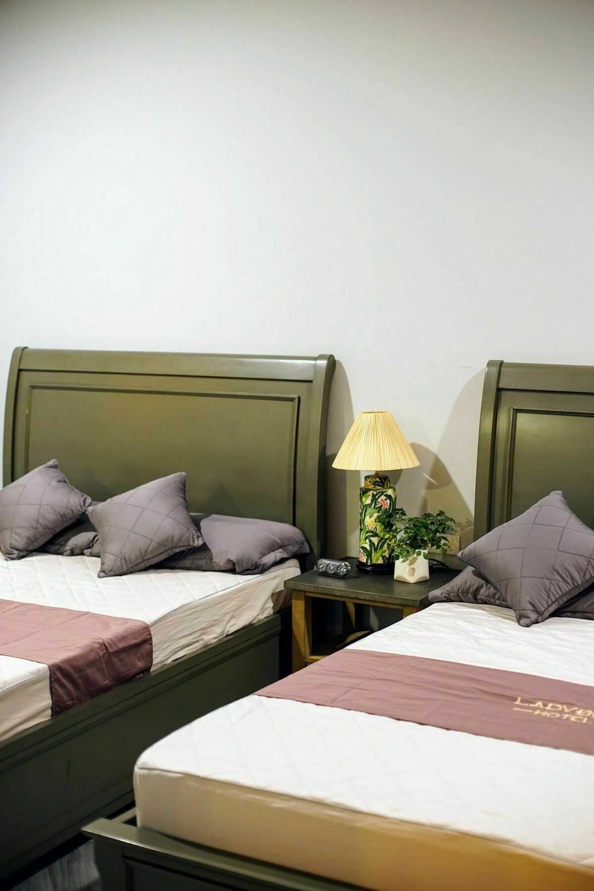 Ladybug Boutique Villa Hanoi Buitenkant foto